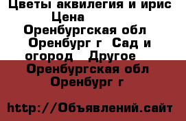 Цветы аквилегия и ирис › Цена ­ 50-100 - Оренбургская обл., Оренбург г. Сад и огород » Другое   . Оренбургская обл.,Оренбург г.
